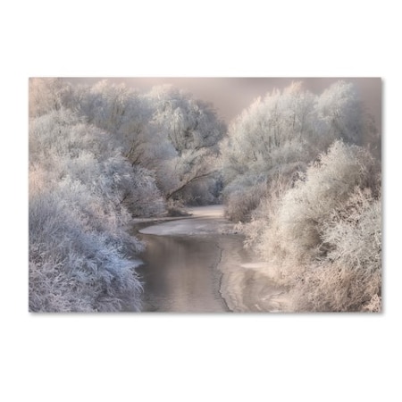 Sebestyen Bela 'Winter Song' Canvas Art,30x47